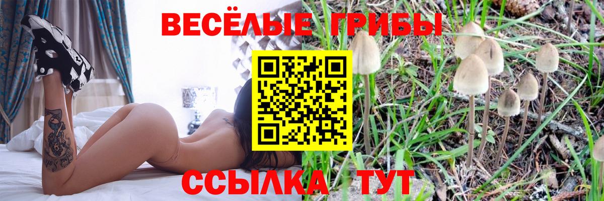 Псилоцибиновые грибы Magic Shrooms  Вход с VPN  Острогожск 